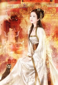 赘婿沈默苏婉瑜